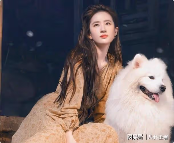 《李清照》開啟選角!萬茜李沁劉詩詩趙麗穎楊冪,劉亦菲因太胖落選