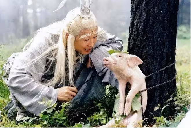 曾紅遍全國的大牌港星，被封殺多年，如今61歲只能來內地開挖掘機