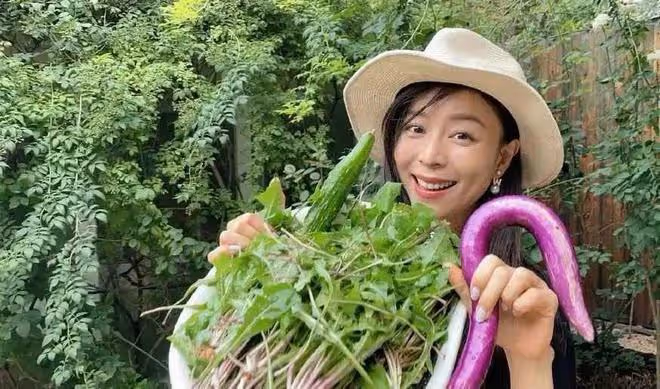 44歲張靜初:無性無愛住小院,守著一屋子破爛,就想做個無用的人