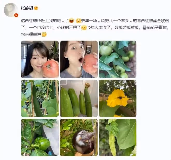 44歲張靜初:無性無愛住小院,守著一屋子破爛,就想做個無用的人
