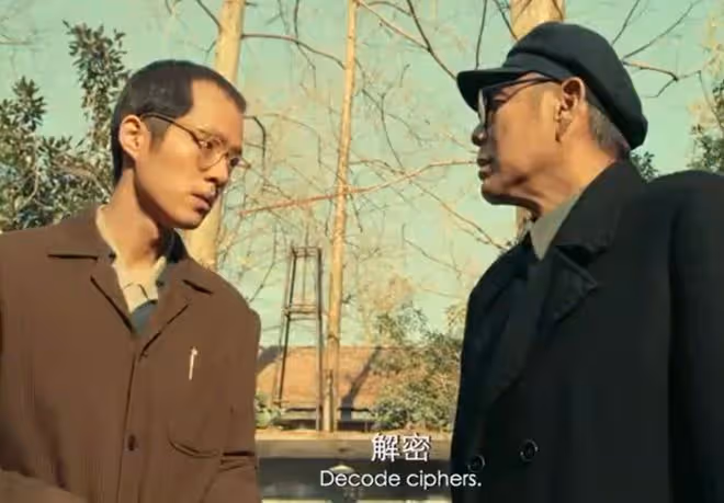 趙麗穎新片《向陽·花》來襲,我想說:拿下30億票房不是沒可能