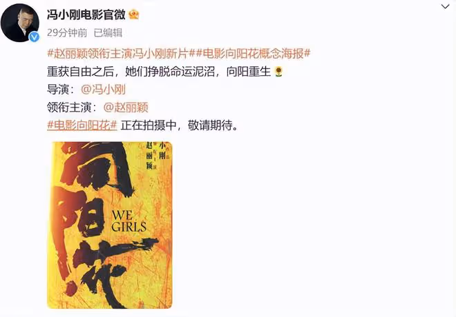 趙麗穎新片《向陽·花》來襲,我想說:拿下30億票房不是沒可能
