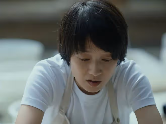 好傢夥,鄭曉龍又要翻拍新版《紅樓夢》,這燙手山芋誰接都不討好