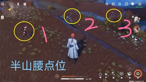 《鳴潮》雀翎果採集路線分享