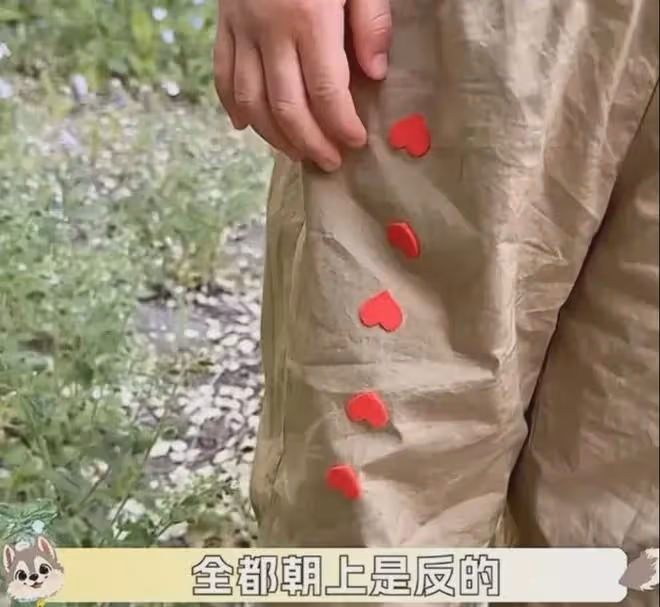 全網播放過億,帽衫寶寶金句頻出不像3歲,網友:孟婆湯又摻水了
