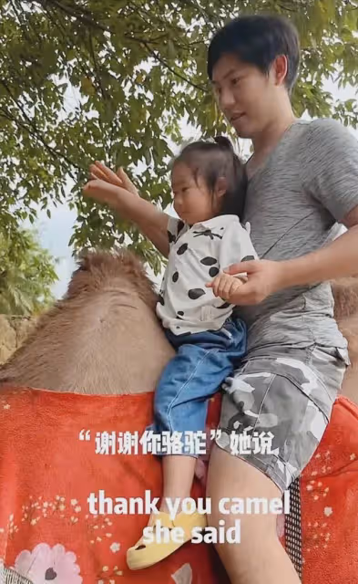 全網播放過億,帽衫寶寶金句頻出不像3歲,網友:孟婆湯又摻水了