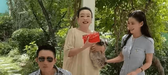 馬筱梅雙胞胎風波升級，多個疑點被扒出，或許從結婚開始就是假的