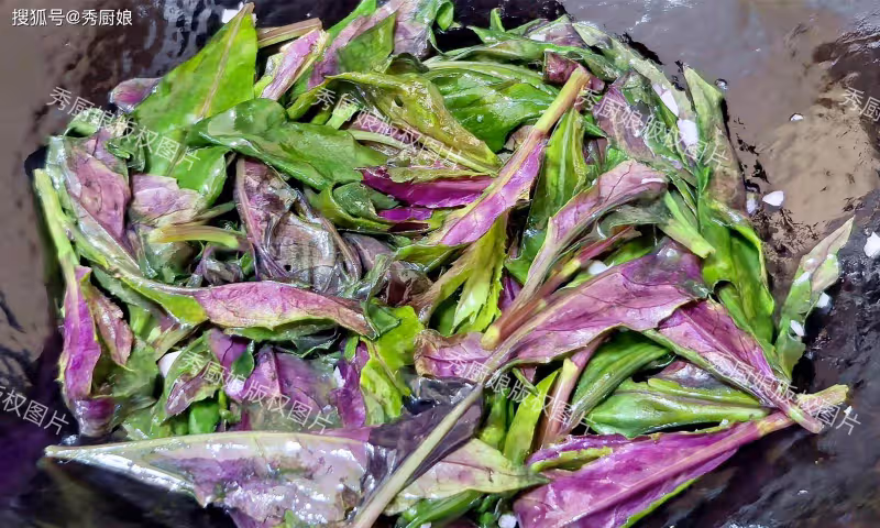三伏天這菜使勁吃,一補血,二消暑,三降火,四通便,鮮嫩營養高