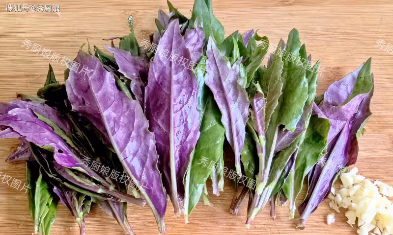 三伏天這菜使勁吃,一補血,二消暑,三降火,四通便,鮮嫩營養高
