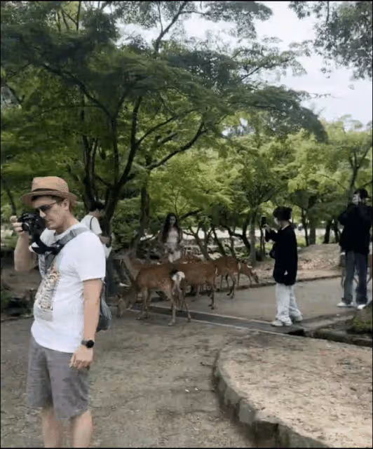 網友爆料王思聰又已分手,新戀情曝光才1月,懶懶發文引猜測