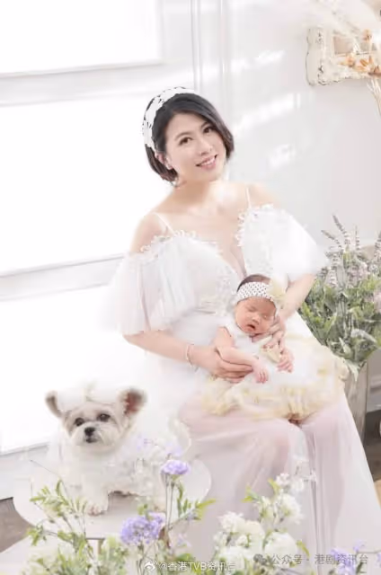 梁思浩一原因稱陳彥行生女應早講!斥楊思琦扮可憐被反擊