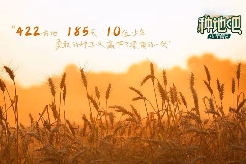 《種地吧》掉粉近百萬,「十個勤天」換人風波背後的行業角度解讀