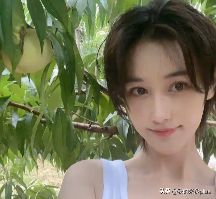 張馨予曬自家桃樹結果200斤!下大雨掉了一地,剩下兩籃又軟又甜