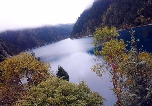 喝粥啃饅頭，被人逼購物⋯⋯揭開低價旅遊團真相