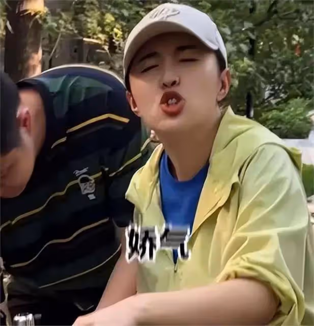 事實證明,再多的名和利,都救不了金龜子劉純燕