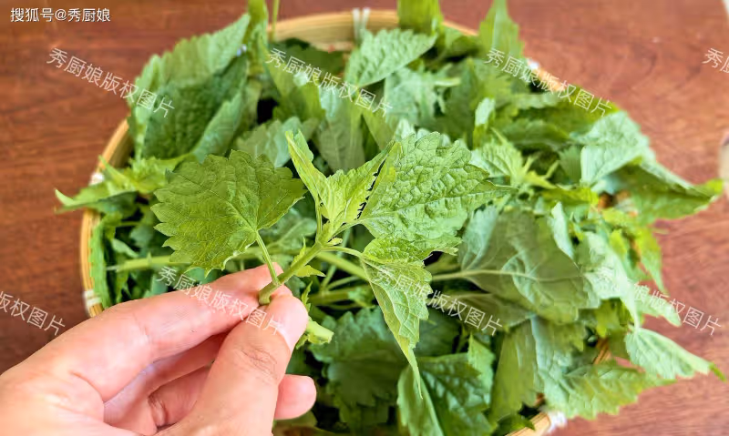 夏天這菜使勁吃,一解暑、二化濕、三抗菌、四通便,可惜常被當草