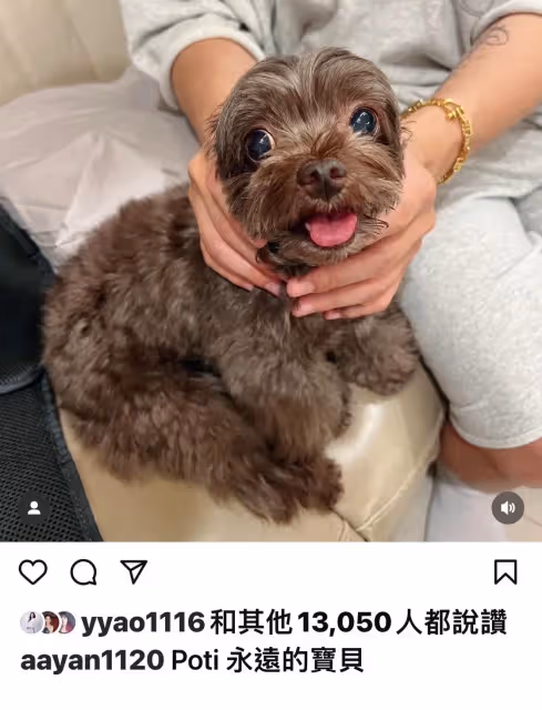 炎亞綸遇恐怖情人！憋了6年終於說出口　曝愛犬被虐、垃圾男超噁內情
