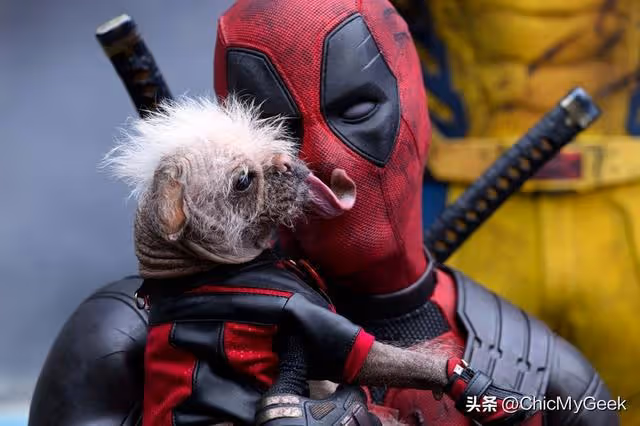 《死侍與金剛狼》7大看點,嘴賤互動超爆笑!