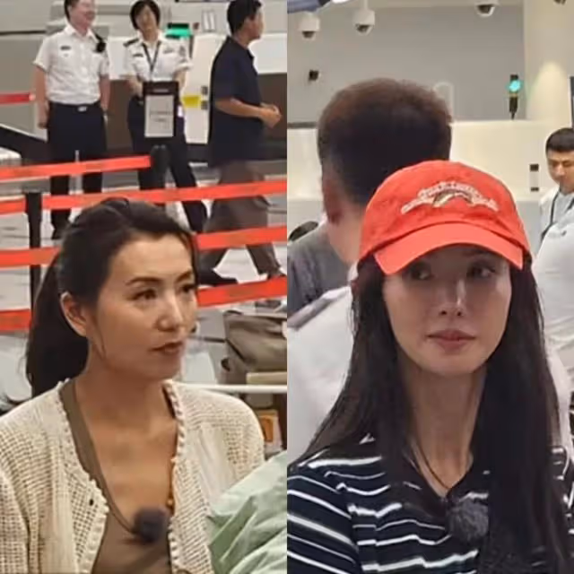 44歲陳好和33歲金晨同框,自然臉和科技臉區別一目了然