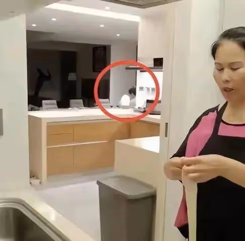 小楊阿姨給二汪做接風宴,一碗湯麵,暖了兩個孩子的心!