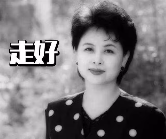 央視女主持肖曉琳:退休5個月後病逝他鄉,臨終25字遺言讓人淚目