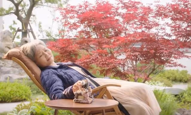 你比星光美麗:番外紀星離世真相暴露,韓廷竟是罪魁禍首