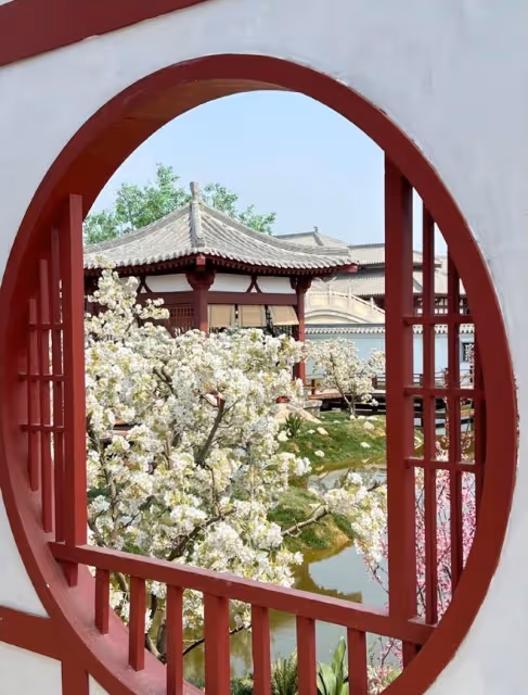 楊紫慶祝新劇殺青，公開與李現等主創合照，古裝造型曝光溫婉大氣