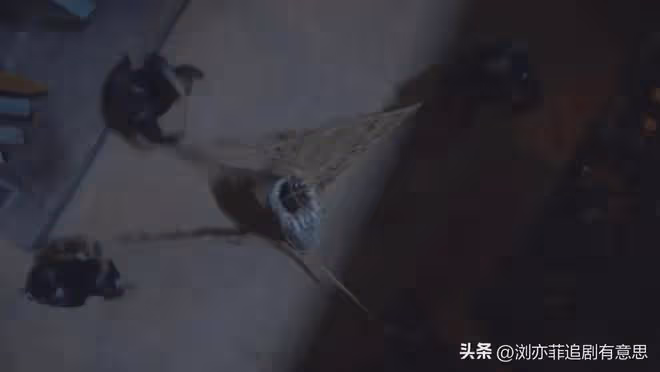 《唐朝詭事錄2》直到令狐朔棄暗投明，壞蛋不知他是失敗的