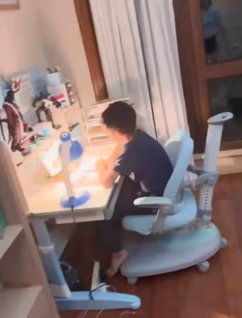 楊樂樂帶兒子出門遊玩,9歲小沐沐眉眼神似汪涵