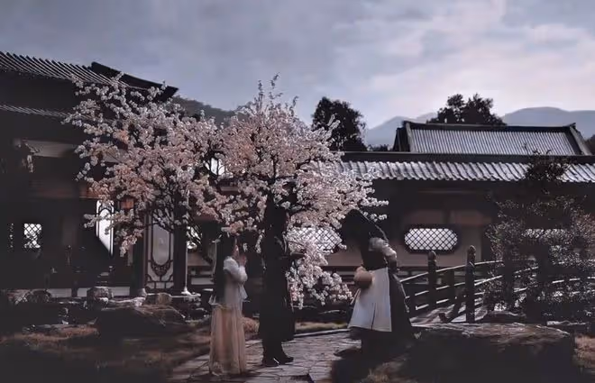 白馬少年醉春風是原耽嗎?葉鼎之自盡,百里東君對易文君怨念加十