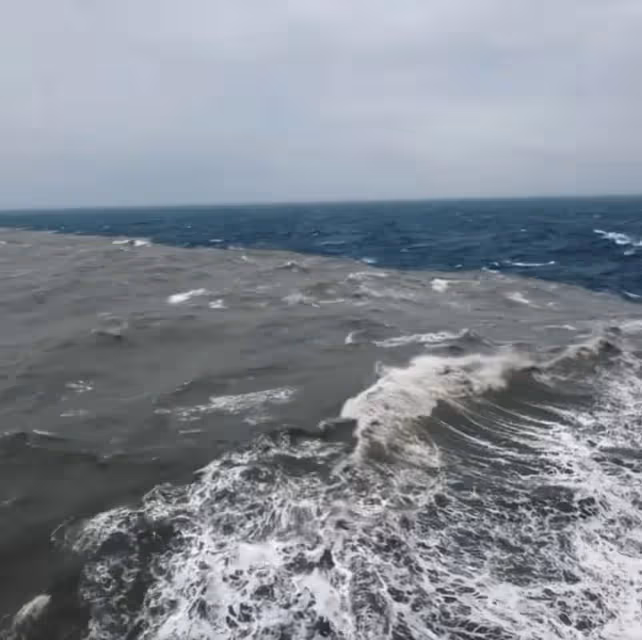 歐陽靖颱風天搭郵輪意外見識陰陽海！ 返家發現木地板被雨水泡壞了