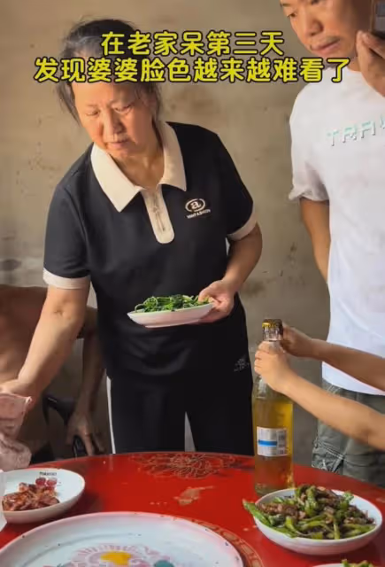 丈夫失業一家3口老家住3天，婆婆拉臉全程愛搭不理，妻子秒懂沉默
