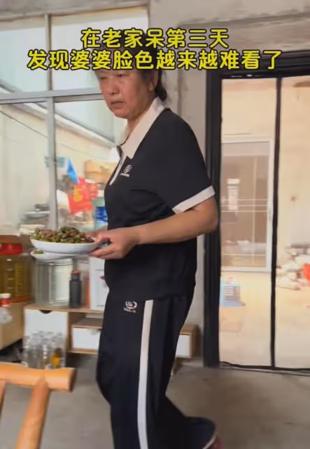 丈夫失業一家3口老家住3天，婆婆拉臉全程愛搭不理，妻子秒懂沉默