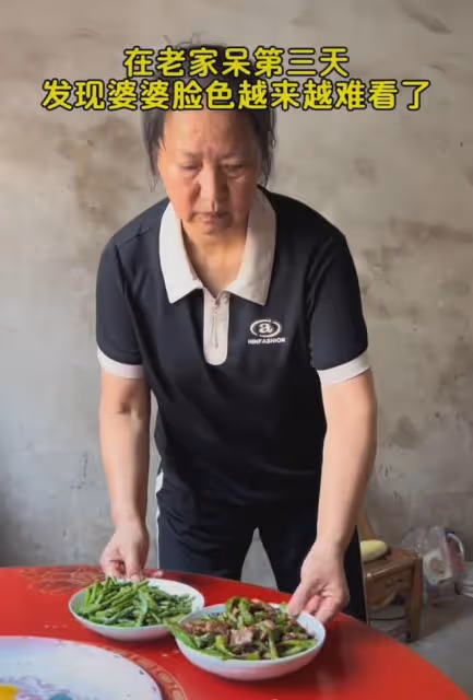 丈夫失業一家3口老家住3天，婆婆拉臉全程愛搭不理，妻子秒懂沉默