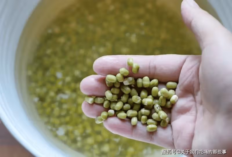在家自製綠豆芽,教您4個小竅門,豆芽4天就能吃,純天然又營養