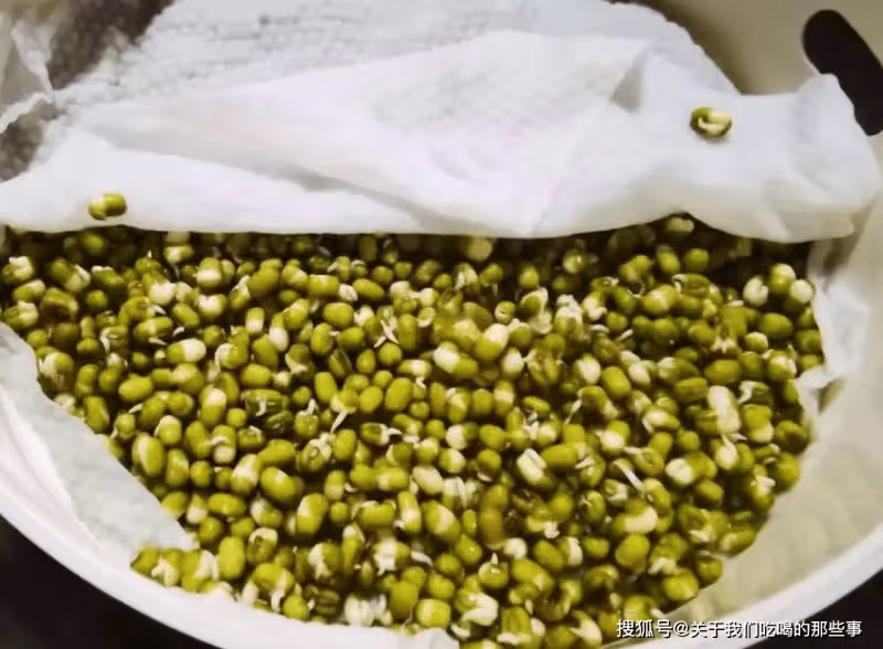 在家自製綠豆芽,教您4個小竅門,豆芽4天就能吃,純天然又營養