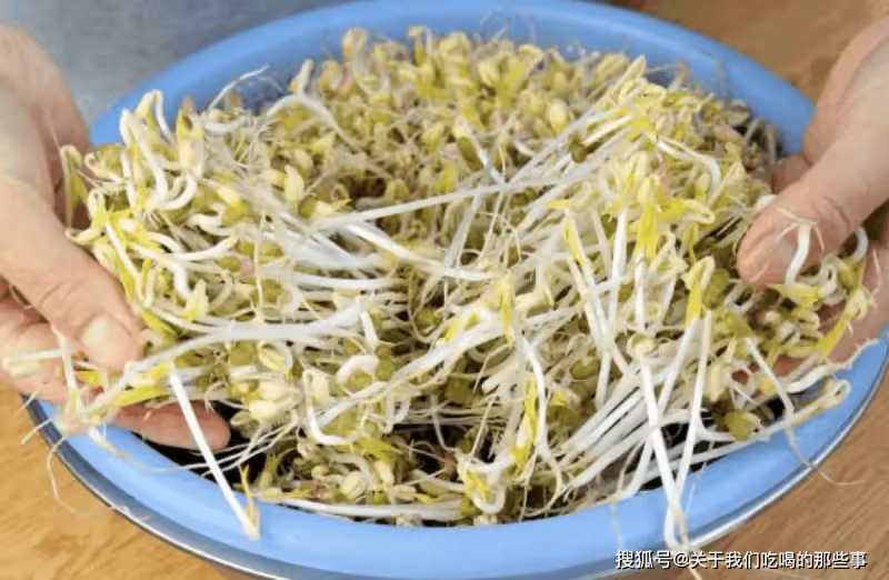 在家自製綠豆芽,教您4個小竅門,豆芽4天就能吃,純天然又營養