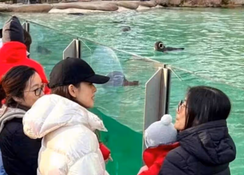 劉強東一家現身巴黎,8歲女兒緊貼爸爸,父女倆牽手過街太有愛