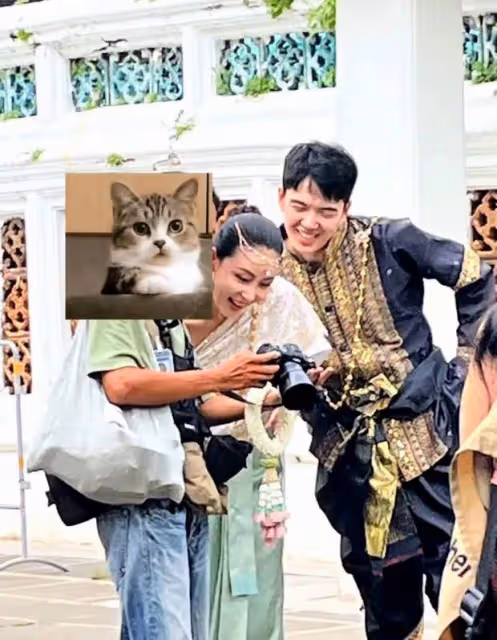 仝卓賈青同游泰國疑似戀愛，牽手微笑幸福甜蜜