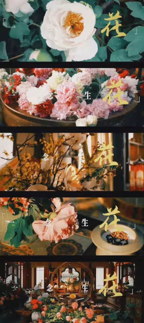楊紫新劇《國色芳華》來了!唐代大女主傳奇,楊紫還原唐仕女圖