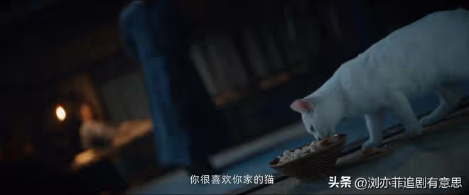 《唐朝詭事錄2》結局：舞女青溪失蹤的真相