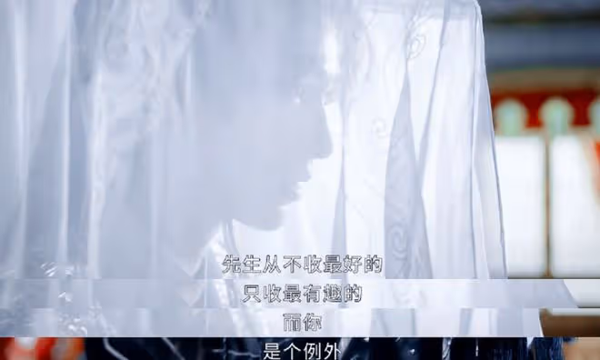 少年白馬醉春風柳月結局,懟天懟地懟空氣,你們就寵他吧