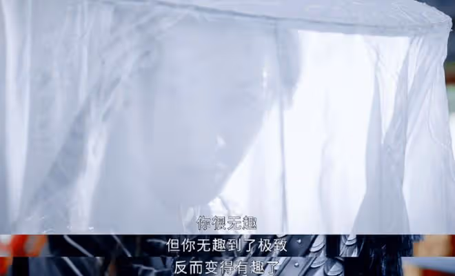 少年白馬醉春風柳月結局,懟天懟地懟空氣,你們就寵他吧