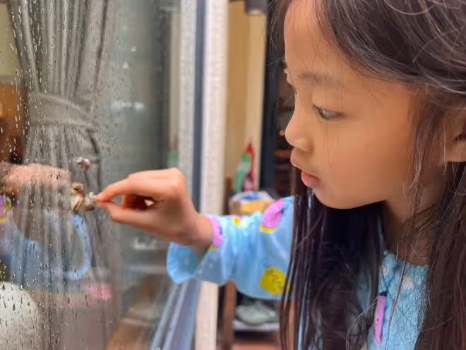 姚晨兒女雨天種菜,茉莉性格彪悍,因一隻蝸牛追著哥哥邊哭邊罵
