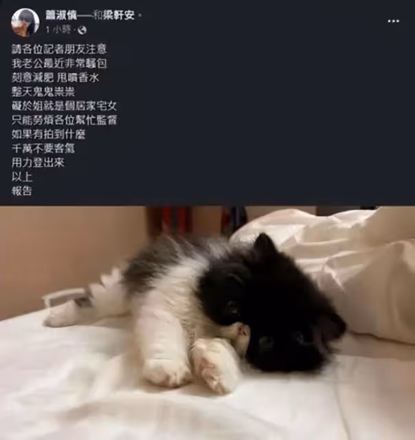 曝蕭淑慎轉行做保姆,幫人帶娃每月多賺六千,患癌後放任老公偷吃