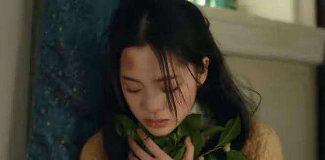 冰雪謠是哪部小說改編？原著叫如月，記好了哦