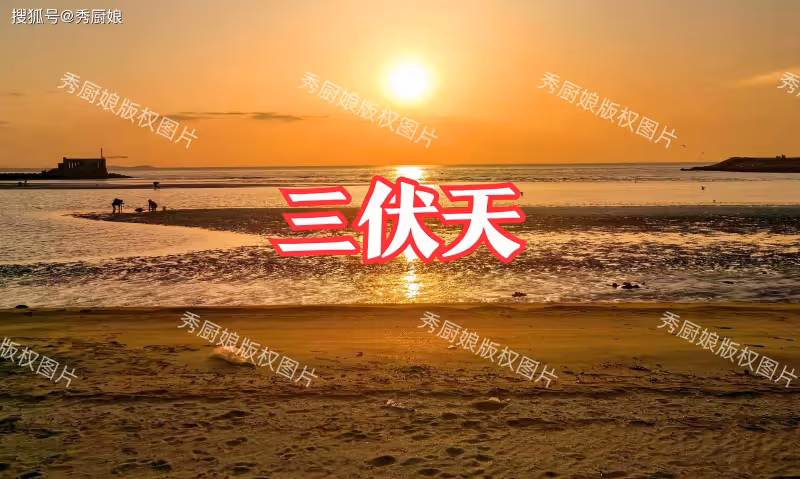 三伏天,寧可不吃肉,也要多喝這3碗湯,高蛋白高營養,老少皆宜