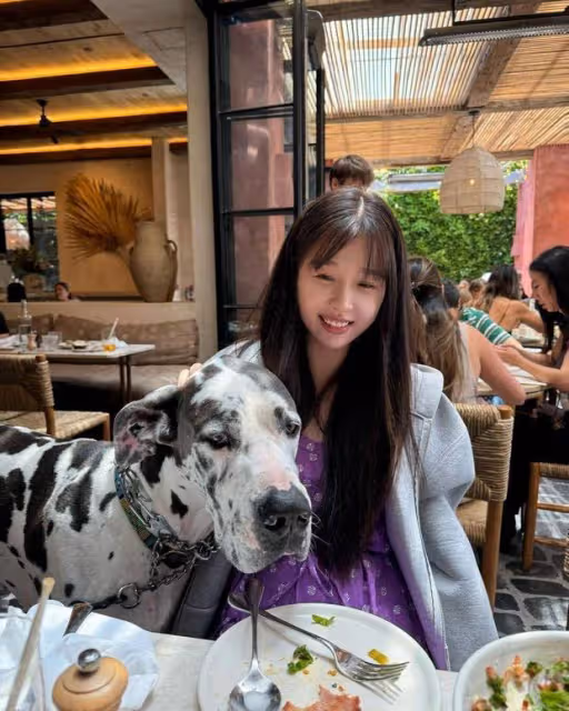 虞書欣深V印花裙驚艷亮相,清純美麗惹人愛!