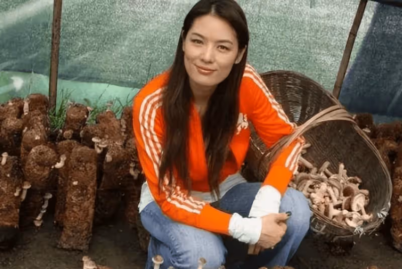 她長了一張中國最美的面孔,被渣男拋棄後回農村種地,如今身價10億