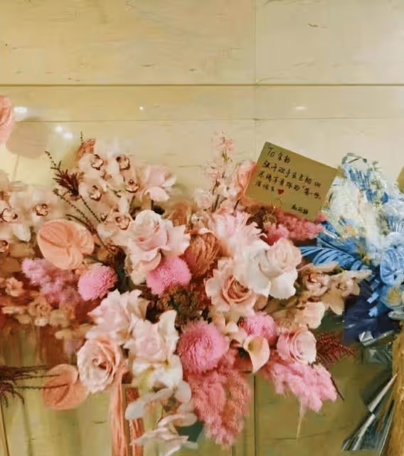 張含韻出道20周年演唱會,趙麗穎送祝福顯情深:張開雙手去飛翔